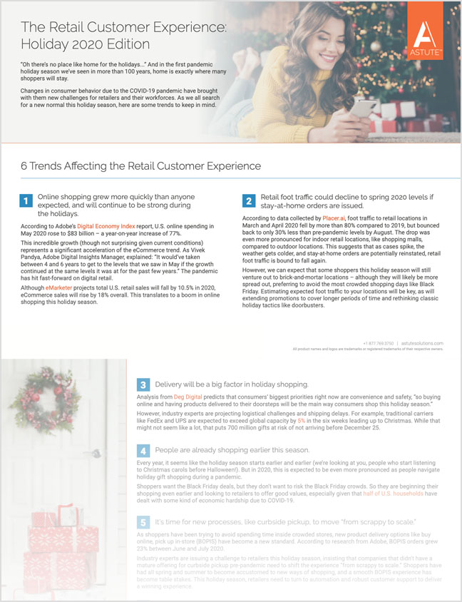 The Retail Customer Experience Holiday 2020 Edition thumbnail